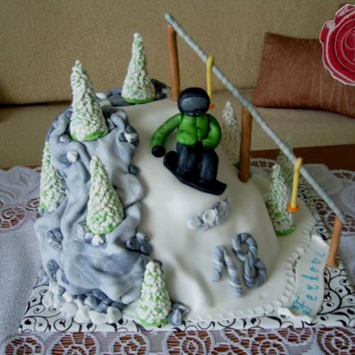 Snowbordista