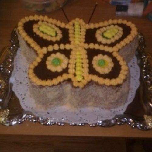 motyl