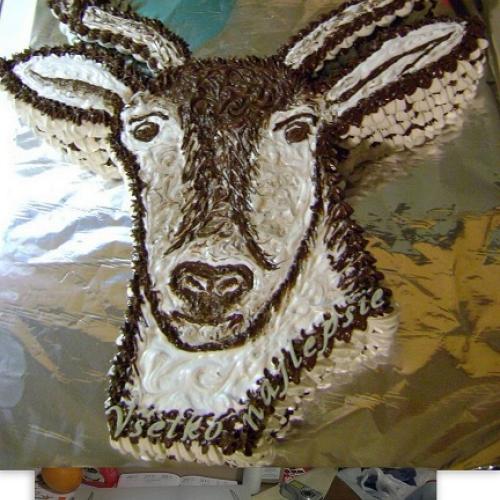 penova torta - jeleň