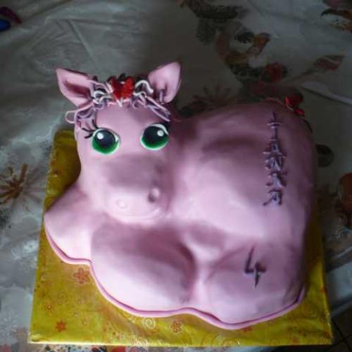 môj malý pony