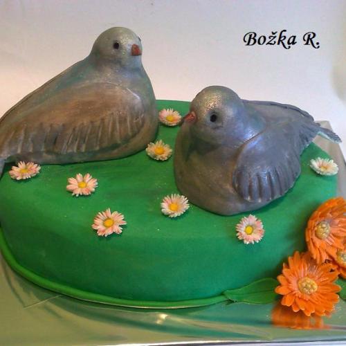 torta s holubami