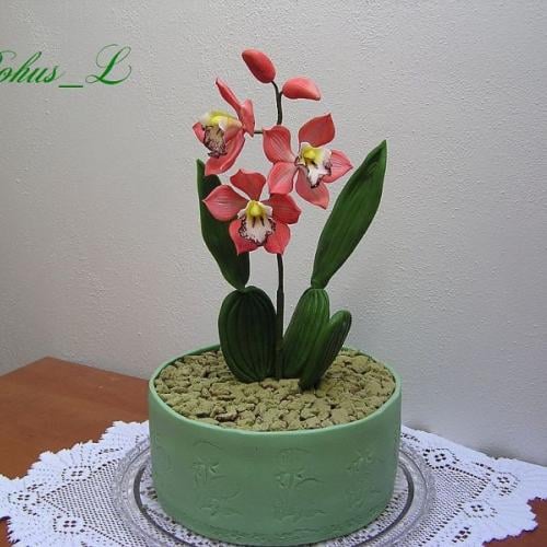 Kvetináč s orchideou