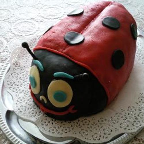 Torta lienka
