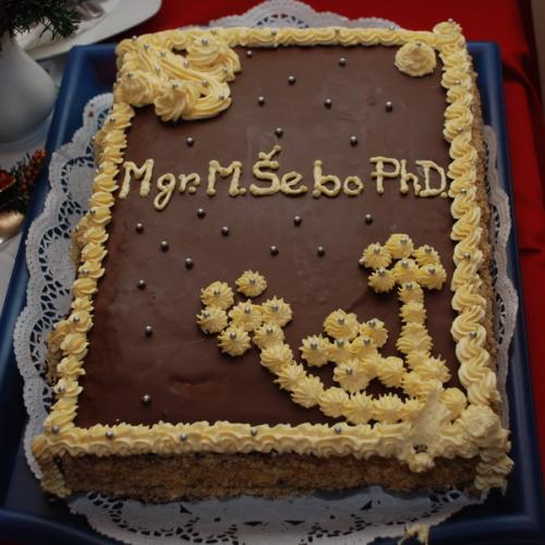 Moja prva