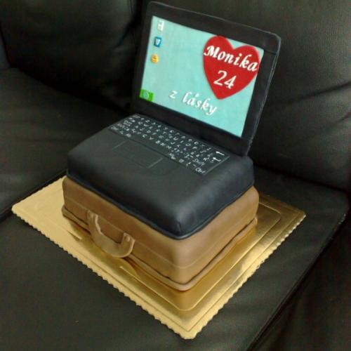 netbook