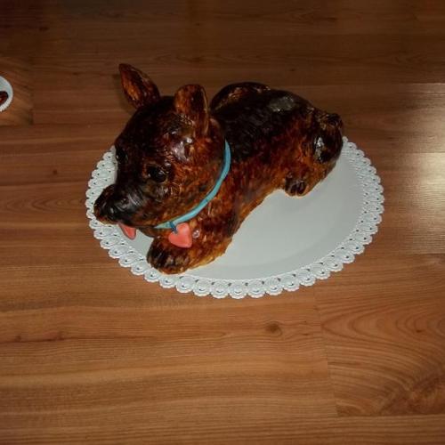 psík