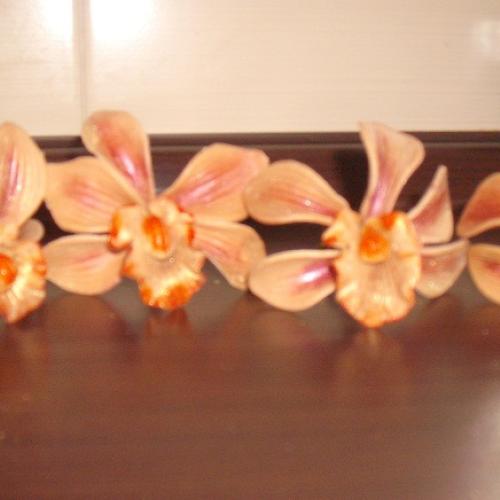 2 orchidea