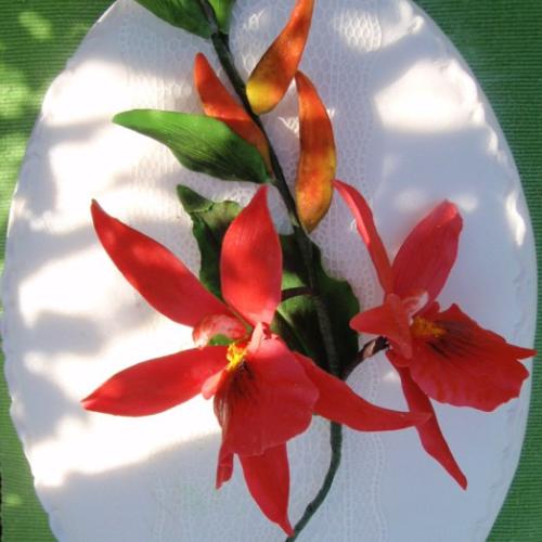 detail-orchidej -Burrageara
