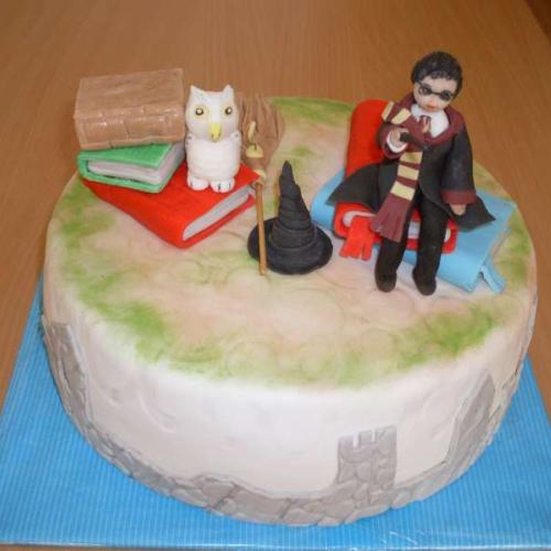 HARRY POTTER