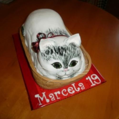 maciatko