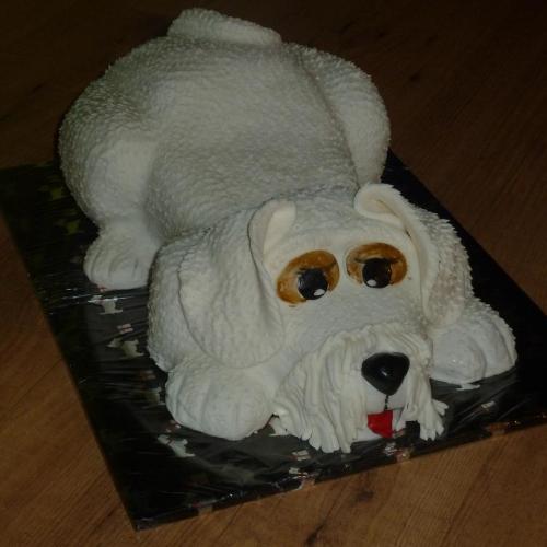 Psík