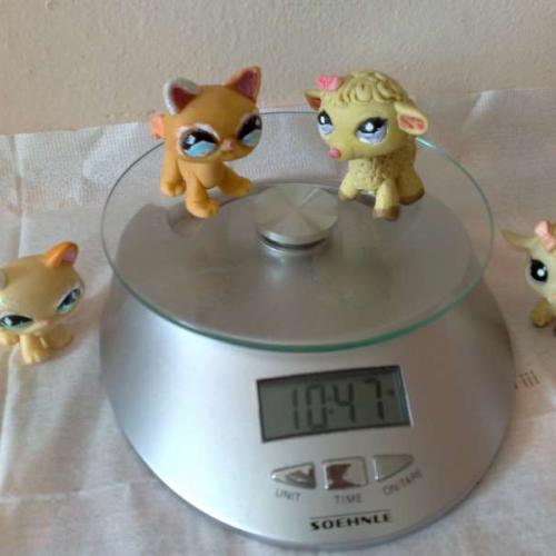 Littles pet shop