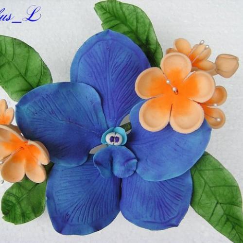 Orchidea - "Vanda"