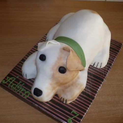 psík