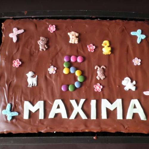 torta na plechu :)