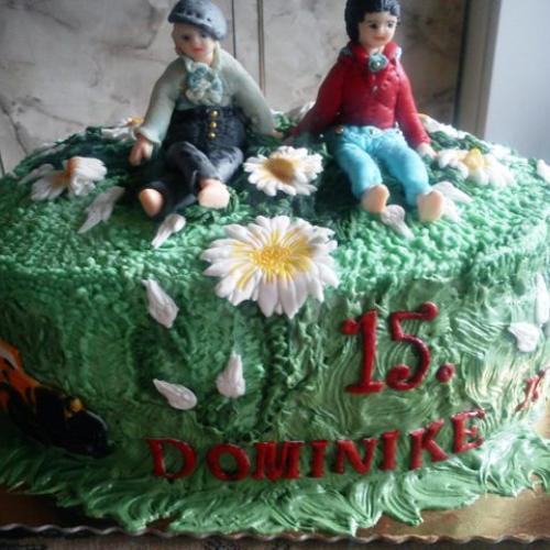 Torta pre moju už 15 ročnú slečnu Dominiku