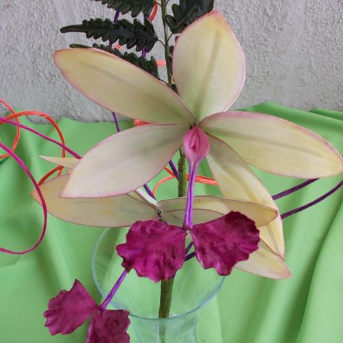 Orchid vanda pink