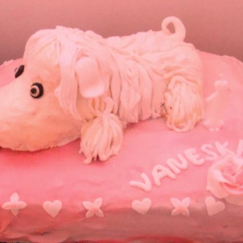 torta psik