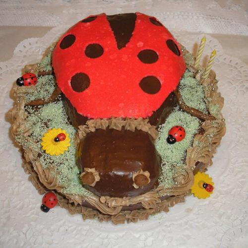 Torta lienka