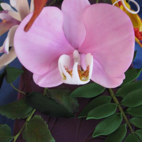 další orchidka