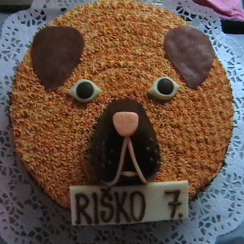 Psík