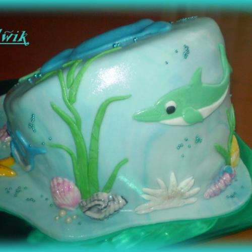 Delfín - krivá torta - zo zadu