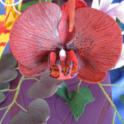 orchidei