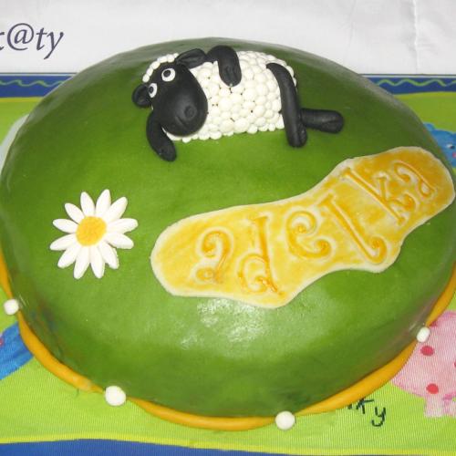 ovecka shaun