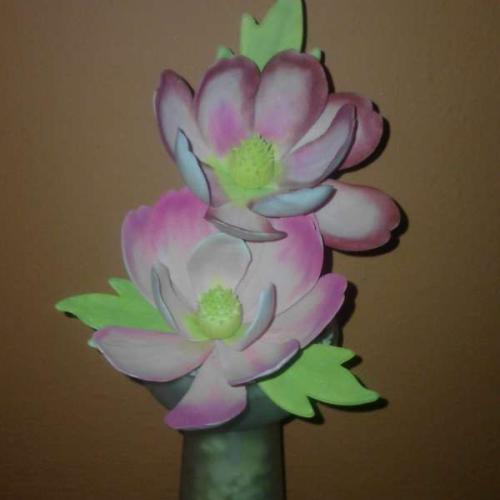 Magnolie