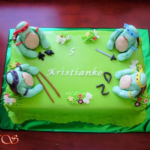 ninja korytnačky