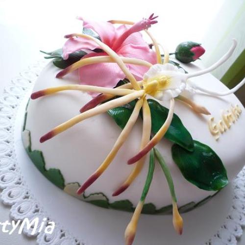 Pavúčia orchidea a ibištek