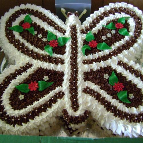 penovy motyl