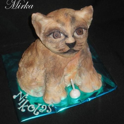 Mačka