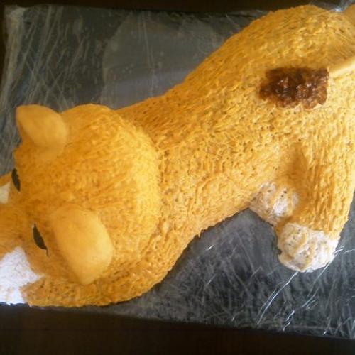 Simba iný pohľad 