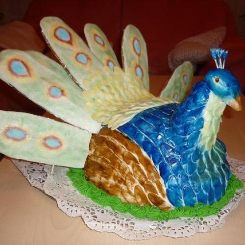 Páv
