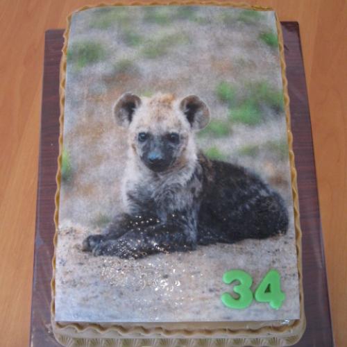 Hyena :)