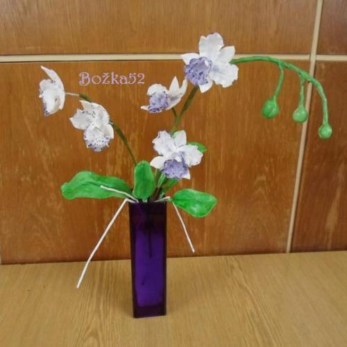 Orchidea - Cymbidium