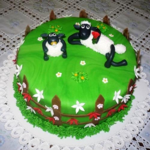 shaun a timmy