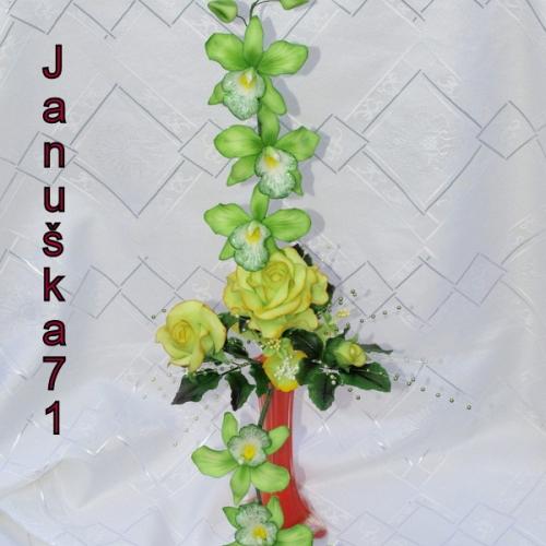 ...a s orchidkami