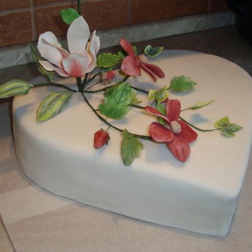 Magnolia