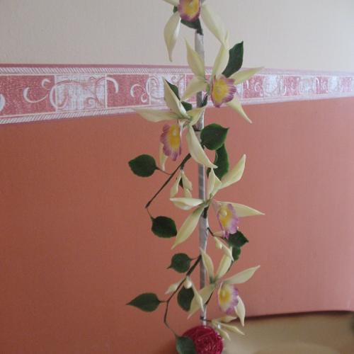 sladká orchidea