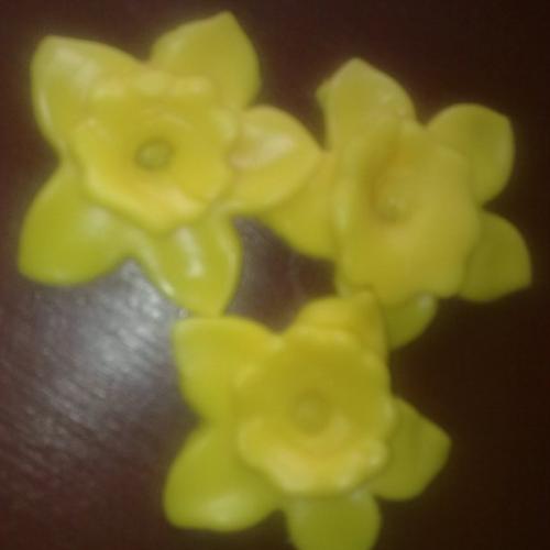 pokus o narcis