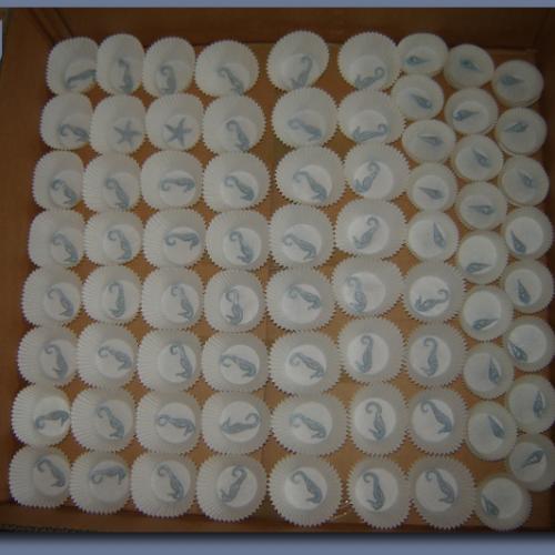 200 musiel na svadobnu tortu a cupcakes