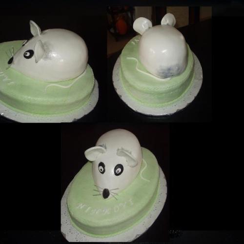 Myš