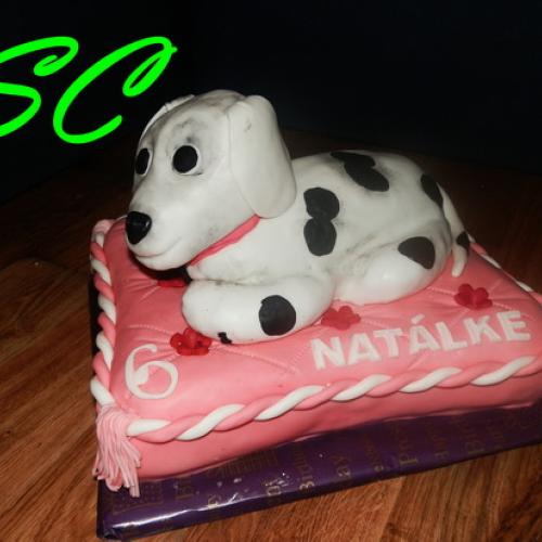 dalmatínec