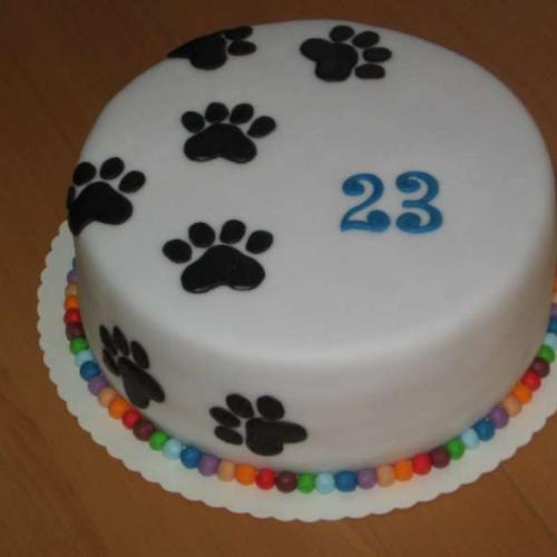 Packy 23