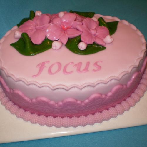  optika FOCUS