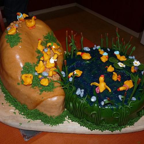 Velka torta kacenky