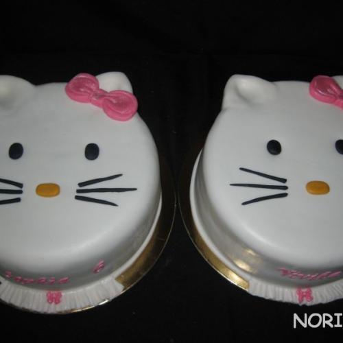 Hello Kitty duo