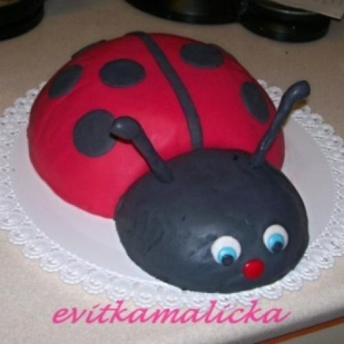 Lienka č.1